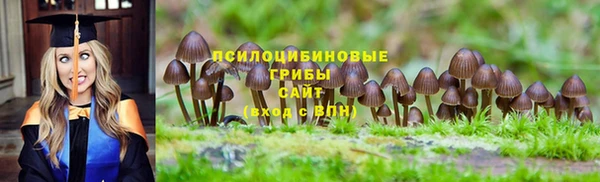 молекула духа Алексеевка