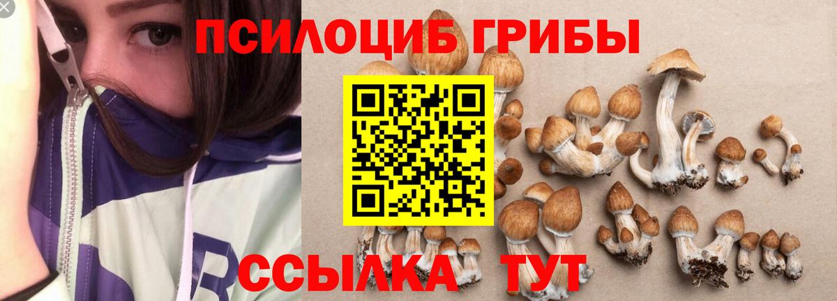 Галлюциногенные грибы прущие грибы  Вход с VPN  Волоколамск  Псилоцибиновые грибы Psilocybine cubensis 